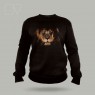 Aslan