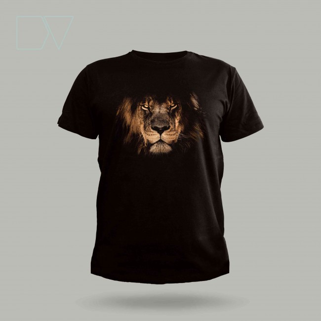 Aslan