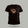 Aslan