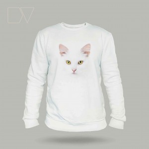 Beyaz Kedi