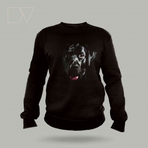 Labrador Köpek