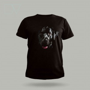 Labrador Köpek